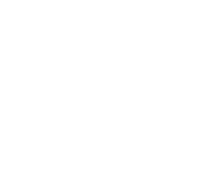Wolfe_Logotype_&_Icon_White